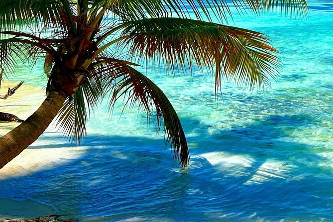 Punta Cana Catalina Island Catamaran Tour Package Deal - Price and value: why $70 can work (or not) for you