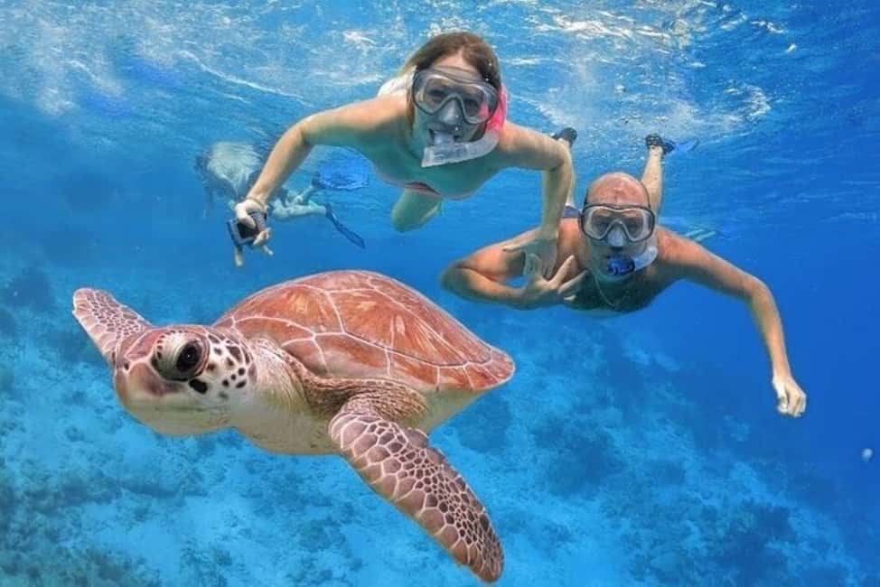 Punta Cana: Catalina Island Classic or VIP Sailing Tour - Punta Cana to Catalina Island: How the Day Works