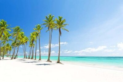Punta Cana: Catalina Island Classic or VIP Sailing Tour - Pickup From Punta Cana: The Part That Can Make or Break Timing