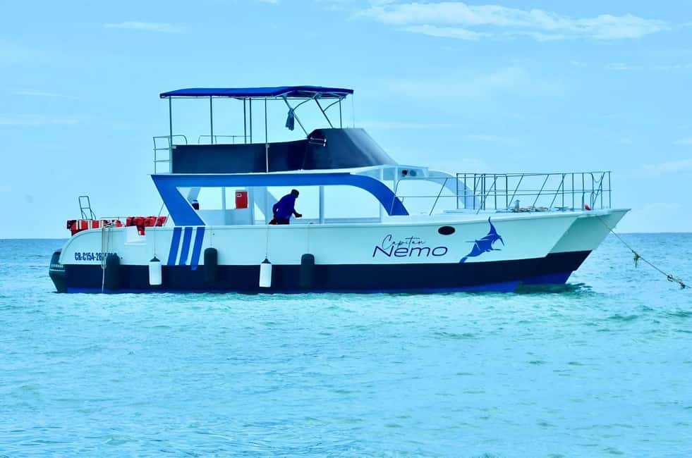 Punta Cana: Catalina Island Day Trip with Snorkeling - Snorkeling expectations: the good, the bad, and how to choose