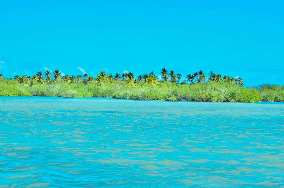 Punta Cana: Catalina Island Day Trip with Snorkeling - Price and logistics: is $85 a good deal?