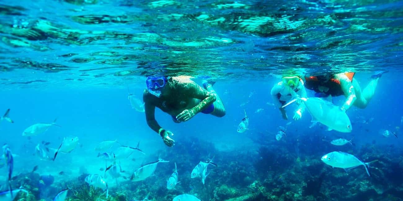 Punta Cana: Catalina Island Snorkeling Trip with Lunch - Buffet Lunch on the Island: What Included Meals Usually Mean