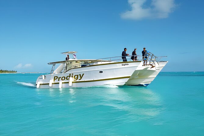 Punta Cana Catamaran Private Tour with BBQ and Natural Pool - Key highlights on this Punta Cana catamaran tour