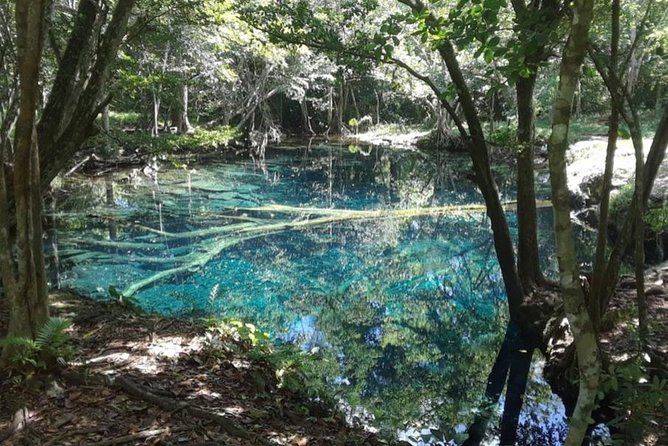 Punta Cana Cenote Hoyo Claro Hiking Tour + Juanillo Beach - Juanillo Beach in Cap Cana: Sun, Swim Time, and Passport-Ready Access