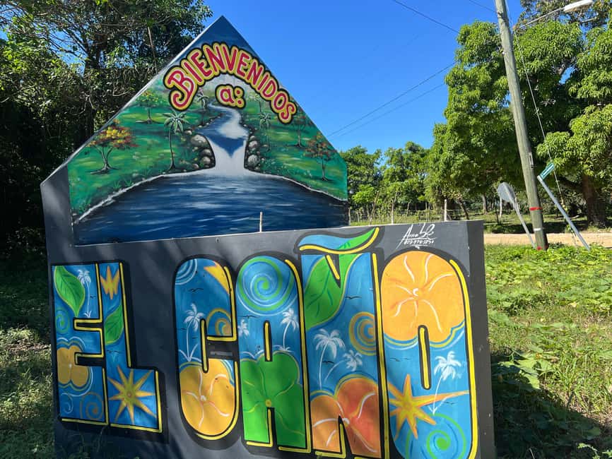 Punta Cana: Coffee Plantation, Chocolate, and Sugar Cane … - Coffee Plantation Walk: From Growing to Roasting (and Tasting)