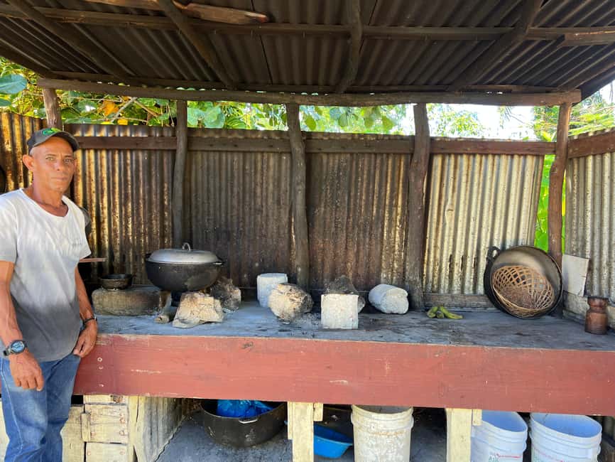 Punta Cana: Coffee Plantation, Chocolate, and Sugar Cane … - Sugar Cane Hut + Typical Dominican House: Rural Life Up Close