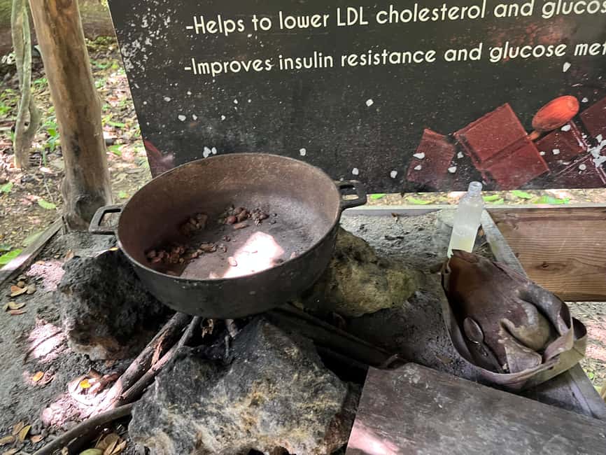 Punta Cana: Coffee Plantation, Chocolate, and Sugar Cane … - Language Expectations: Spanish, English, French (and How to Protect Yourself)