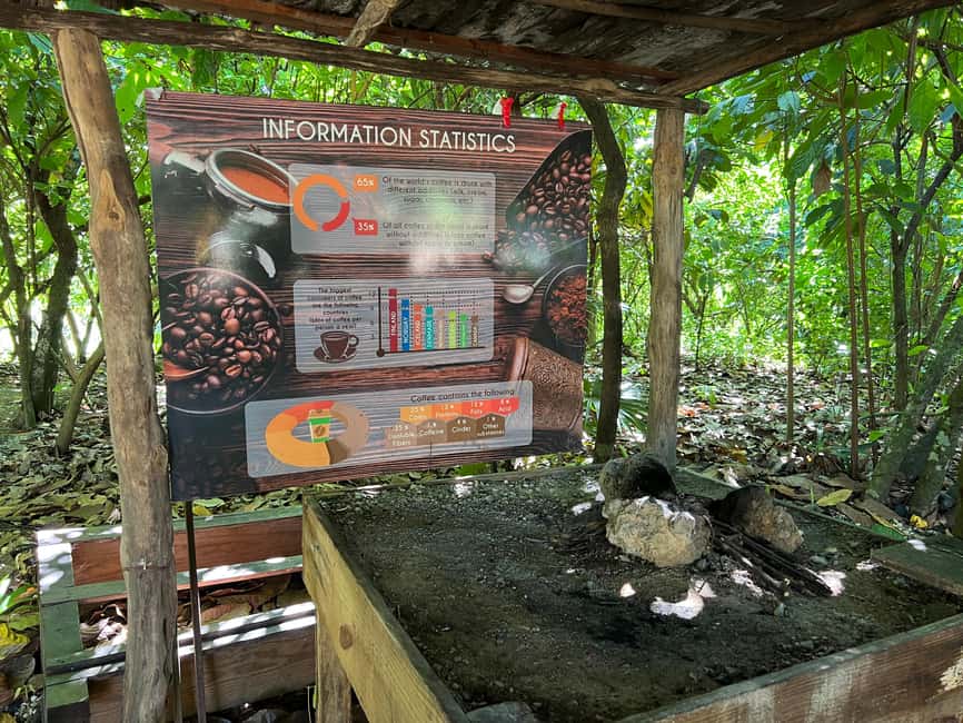 Punta Cana: Coffee Plantation, Chocolate, and Sugar Cane … - What to Bring (This Is Not a Packing List for Show)