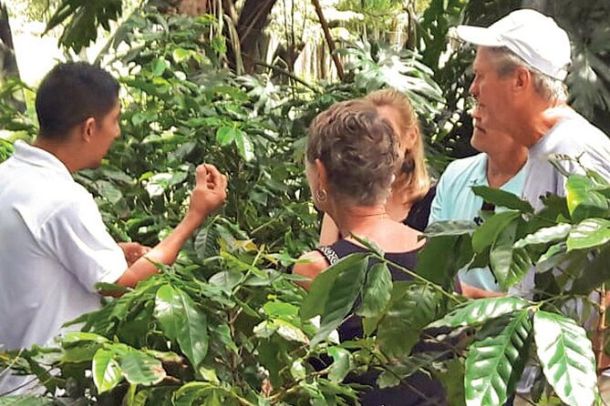 Punta Cana: Cultural half-day tours in the Dominican Republic - Anamuya River swim and the natural slide: bring your swim kit
