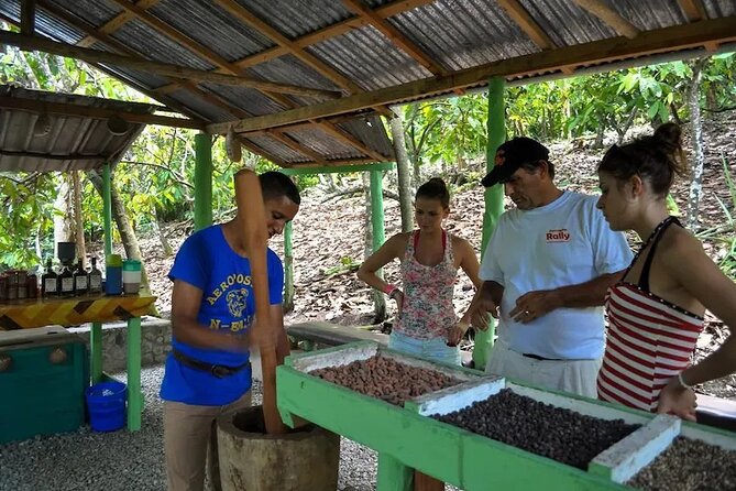 Punta Cana: Cultural half-day tours in the Dominican Republic - Basilica Cathedral of Our Lady of Altagracia: the culture stop that anchors the trip