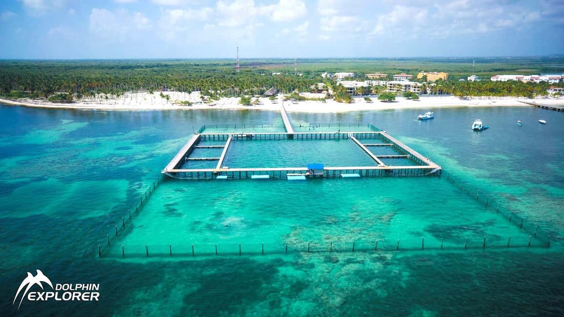Punta Cana Dolphin Adventure: 40-Minute Interaction - Key points before you go