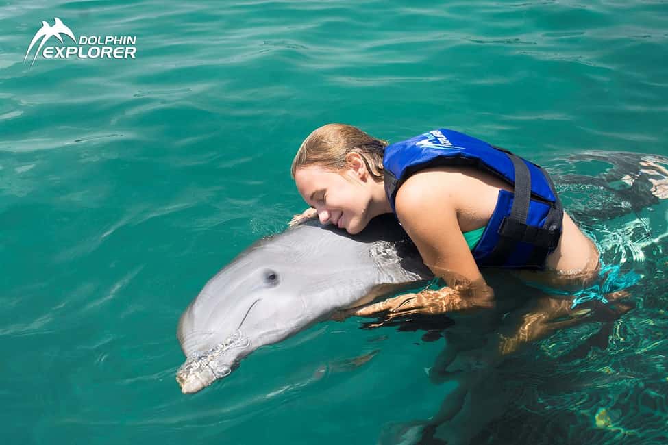 Punta Cana Dolphin Adventure: 40-Minute Interaction - Should you book this Punta Cana dolphin adventure?
