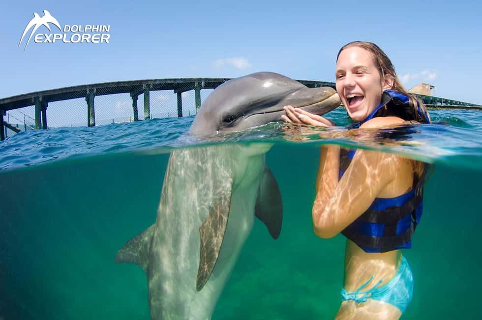 Punta Cana Dolphin Adventure: 40-Minute Interaction - How the Punta Cana dolphin schedule really plays out