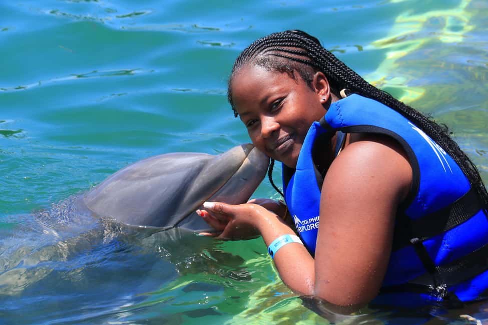 Punta Cana Dolphin Adventure: 40-Minute Interaction - The pre-water briefing: what trainers teach you before the dolphin interaction