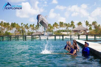 Punta Cana Dolphin Adventure: 40-Minute Interaction - Hotel pickup in Bavaro and nearby areas: easy on paper, do it right