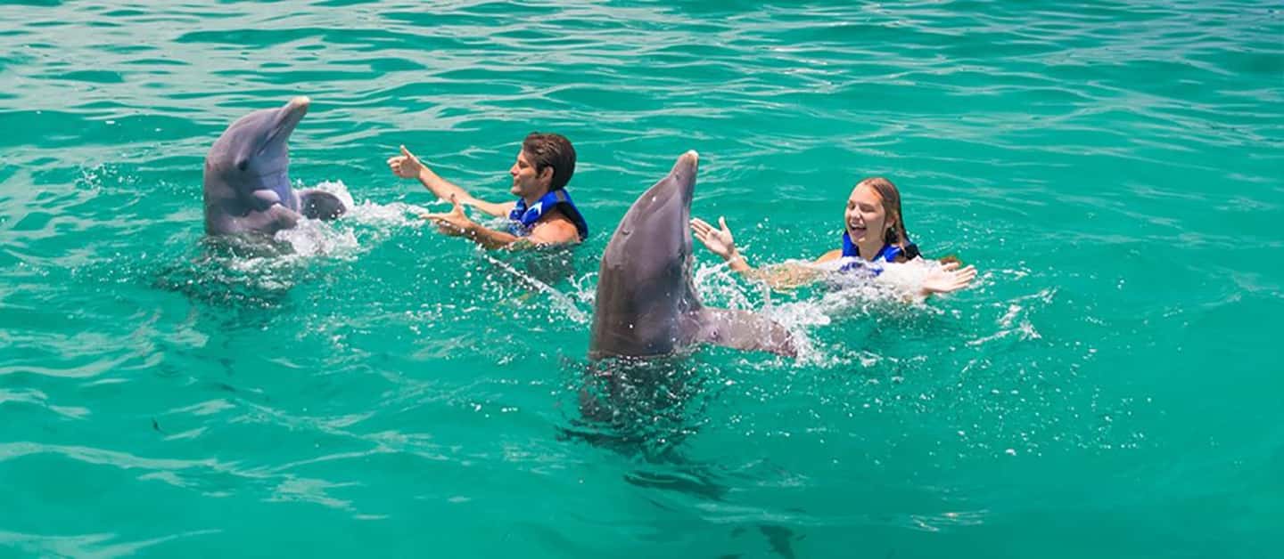 Punta Cana Dolphin Adventure: 40-Minute Interaction - Who can join: height, age, and pregnancy rules you must follow