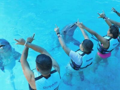 Punta Cana: Dolphin Explorer Park Entry, Swim, or Encounter - Swim with dolphins, or watch them from a platform