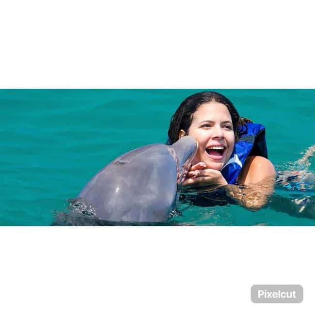 Punta Cana: Dolphin Park Entry and Swim with Dolphins - Before You Touch the Water: The Orientation and Safety Rules That Matter