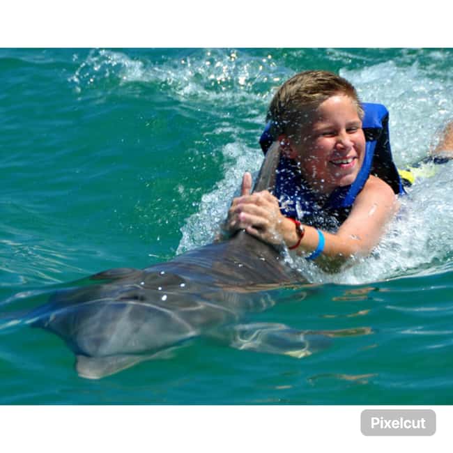 Punta Cana: Dolphin Park Entry and Swim with Dolphins - Getting From Your Hotel to La Altagracia Without Missing the Time Slot