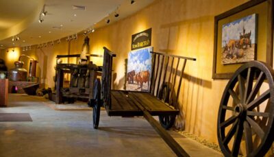 Punta Cana: Dominican Flavors Guided Day Trip - Vega Fina Cigar Factory: From Tobacco Leaves to a Mega-Cigar Store
