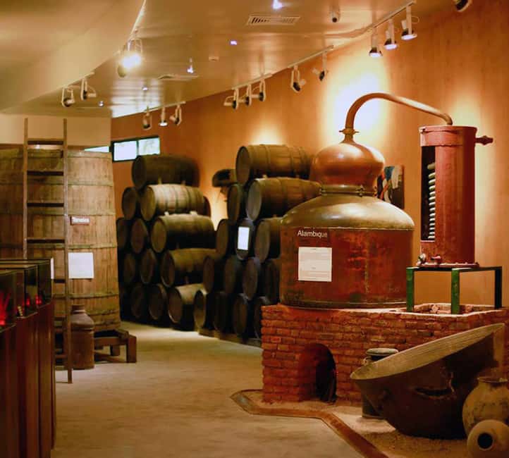 Punta Cana: Dominican Flavors Guided Day Trip - Ron Barcelo Historic Center: Aging Cellar Smells and a Rum Production Walk