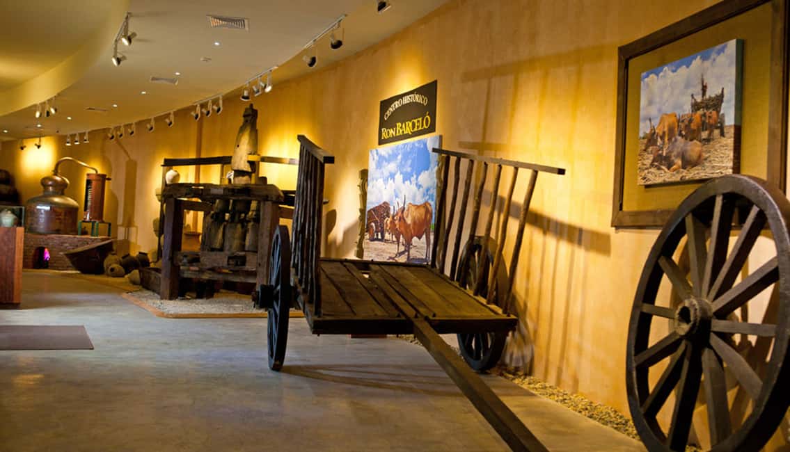Punta Cana: Dominican Flavors Guided Day Trip - Vega Fina Cigar Factory: From Tobacco Leaves to a Mega-Cigar Store