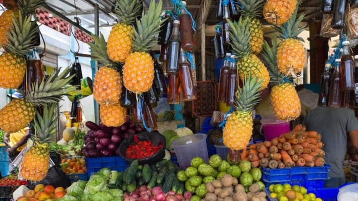 Punta Cana: Dominican Republic Culture Tour - Getting from Punta Cana to real Dominican life