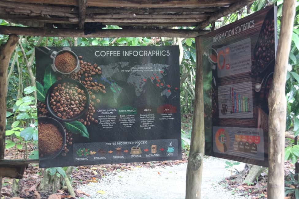 Punta Cana E-bike tour: Macao, El Salado, Ceiba, El Caño - The ride itself: 15 kilometers, comfortable pace, real views