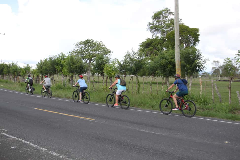Punta Cana E-bike tour: Macao, El Salado, Ceiba, El Caño - El Caño farm stop: coffee, chocolate, and crop spotting