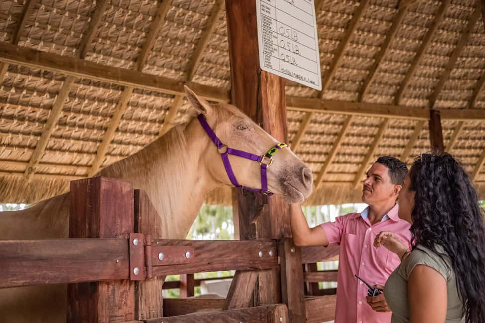 Punta Cana: Eco Park Safari Adventure - The Cattle Station Milking Moment and Farm Animal Time