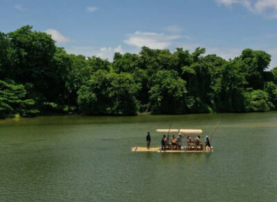 Punta Cana: Eco Park Safari Adventure - Animal Stations You’ll Actually Remember: Ostriches, Emus, Rabbits, Deer