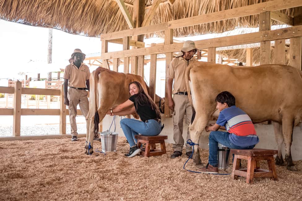 Punta Cana: Eco Park Safari Adventure - What to Bring (and What to Skip) So You’re Comfortable