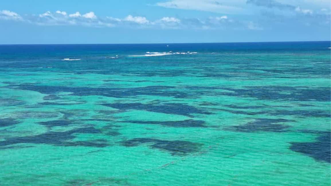 Punta Cana: Exclusive Private Catamaran Tour to Saona Island – VIP Service - Onboard Service: Music, Drinks, and the Crew That Makes It