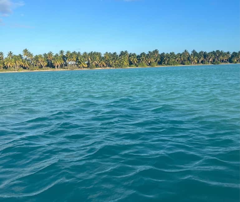 Punta Cana: Exclusive Private Catamaran Tour to Saona Island – VIP Service - Price and Value: Is $1,590 a Smart Deal?