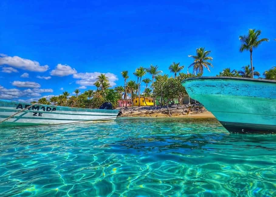 Punta Cana: Full-day Snorkelling Tour in Catalina Island - The Coral Reef Snorkeling Stop: What You’re Actually Going To See