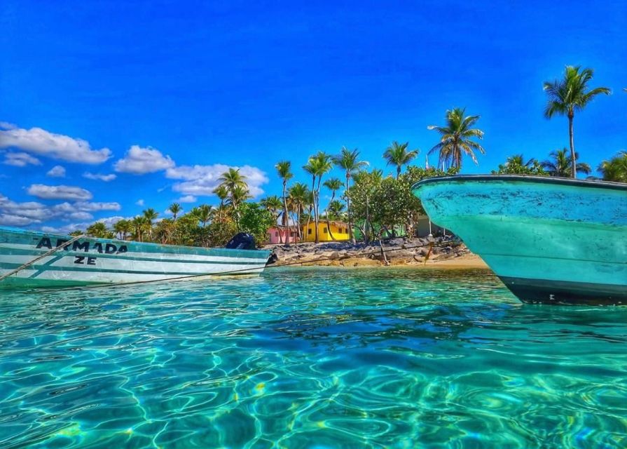 Punta Cana: Full-day Snorkelling Tour in Catalina Island - Who This Tour Fits Best (And Who Might Prefer Another Option)