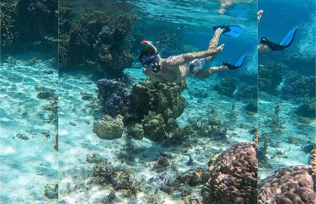 Punta Cana: Full-day Snorkelling Tour in Catalina Island - Catamaran Ride to Catalina: The Easy Scenic Stretch