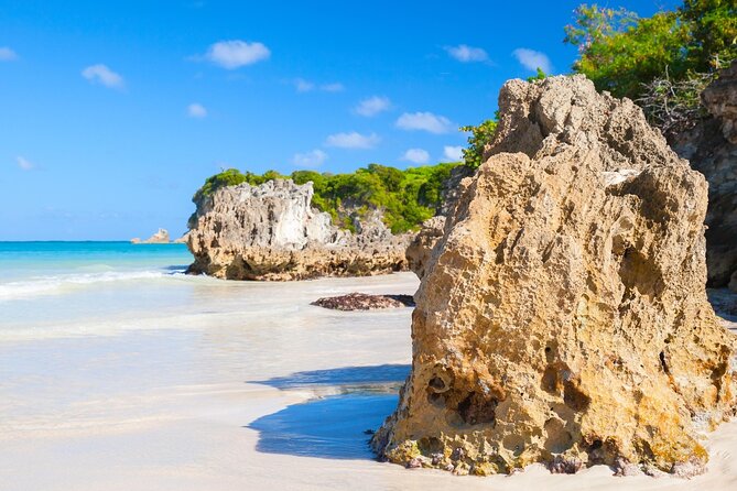 Punta Cana Guided Buggy Adventure Tour - Your Ride Setup: Pickup, Mobile Tickets, and What to Bring