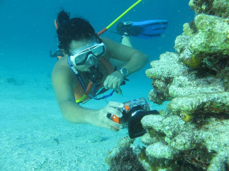 Punta Cana: Guided Power Dive Adventure - Key Things You’ll Notice on This Punta Cana Underwater + Boat Party Combo