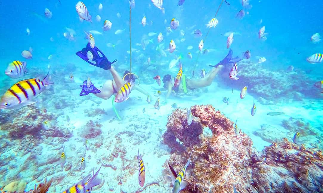 Punta Cana: Guided Power Dive Adventure - Where You Go In The Water: Warm Pools Between Two Seas