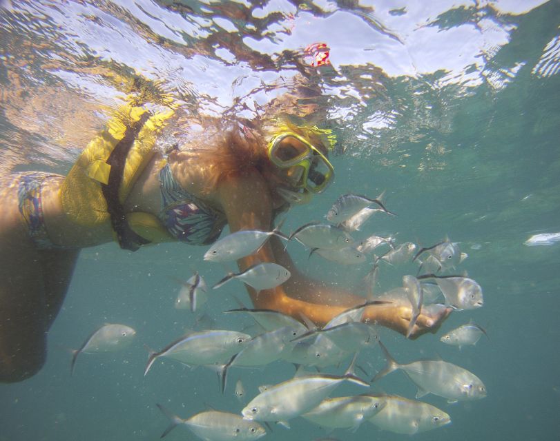 Punta Cana Happy Hour Sailing Cruise - Included vs. not included: what you should budget for