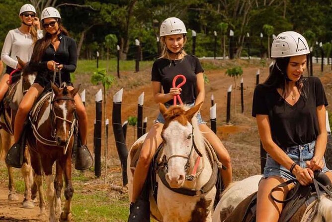 Punta Cana Horse Riding for Beaches in Field - Horse Safety and Temperament: Helmet On, Expectations Set