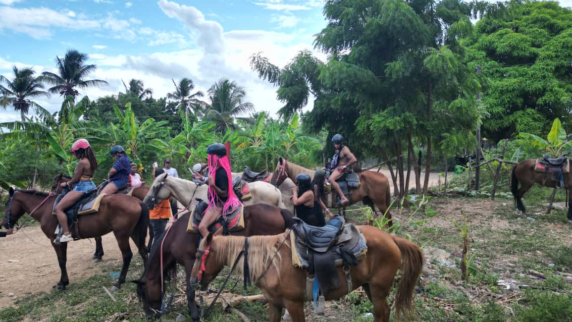 Punta Cana Horseback Ride at Macao Beach. - Pickup and timing: where delays can mess with your comfort