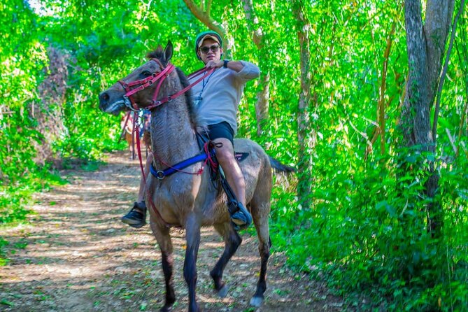 Punta Cana Horseback Ride: Jungle, Macao Beach & Free Pick Up - Key highlights to know before you go
