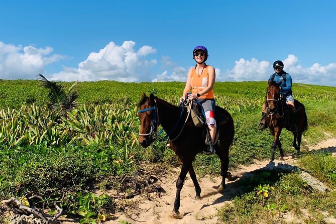 Punta Cana Horseback Ride: Jungle, Macao Beach & Free Pick Up - Macao Beach horseback riding: where the magic happens