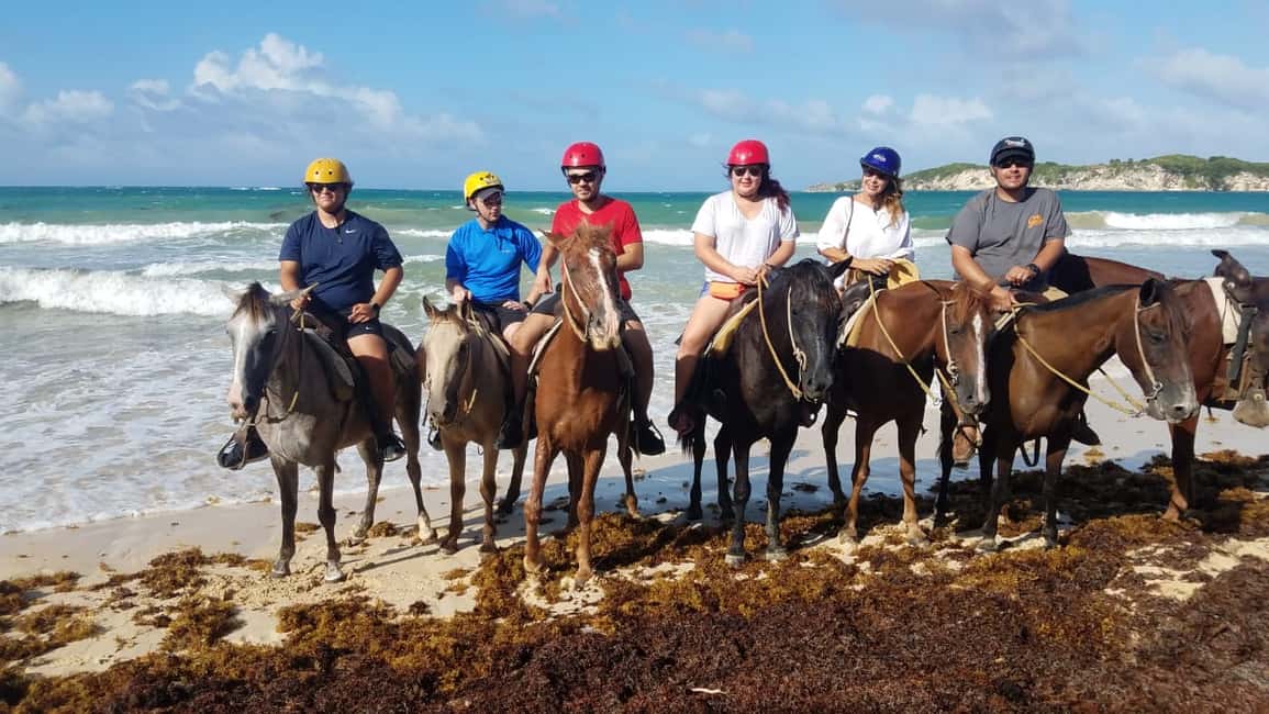 Punta Cana: Horseback Ride to Macao Beach - Key things I’d watch for on this ride