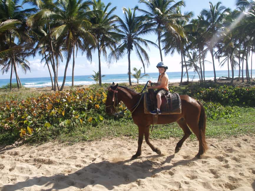 Punta Cana: Horseback Ride to Macao Beach - How This 2-Hour Horse Ride Works from Your Hotel