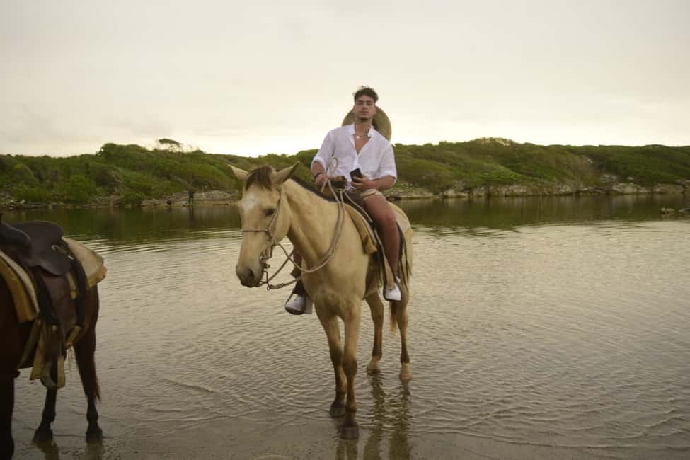 Punta Cana: Horseback Ride to Macao Beach - Who Should Book This Horseback Ride (and Who Should Skip)