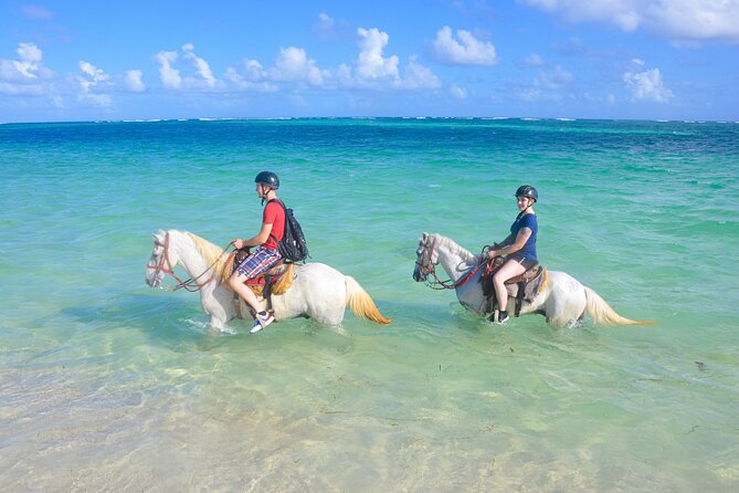 Punta Cana Horseback Riding Adventure - Key highlights at a glance