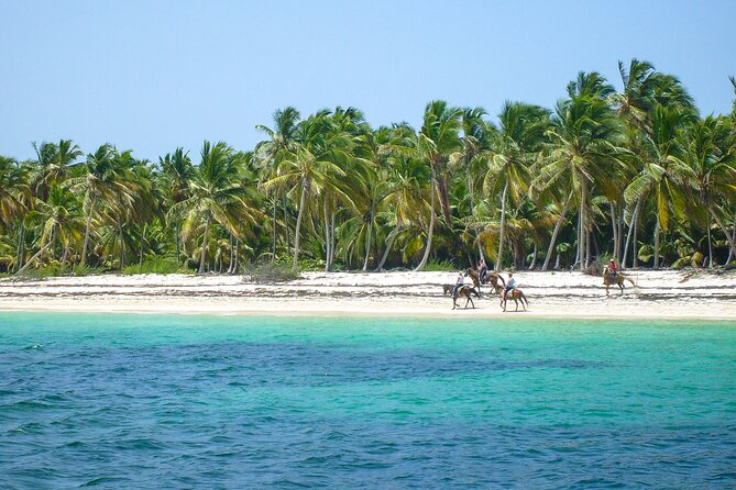 Punta Cana Horseback Riding Adventure - The horseback countryside ride: pacing, views, and control
